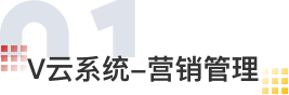 网站建设营销推广, 海外营销解决方案, 全网营销一站式推广